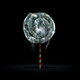 Illustration for article titled Still-life photos of rotting food are strangely beautiful
